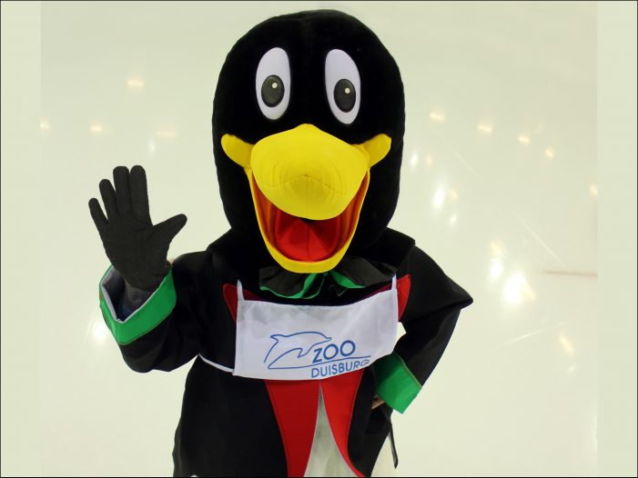 Paul Pinguin aus dem Zoo Duisburg begrüßt die Gäste des Weihnachtsmarktes Paul Pinguin aus dem Zoo Duisburg begrüßt die Gäste des Weihnachtsmarktes