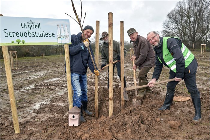 Duisburg-Walsum: Alte Obstsorten für das Naturschutzgebiet Rheinaue Duisburg-Walsum: Alte Obstsorten für das Naturschutzgebiet Rheinaue