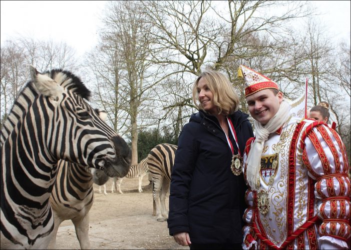 Karnevalsprinz Kevin I. besuchte den Zoo Duisburg: Zebraherde ging mit der Prinzencrew auf Tuchfühlung