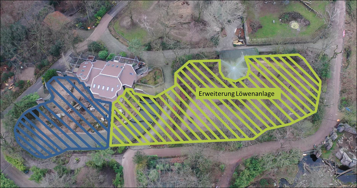loewengehege_grafik_zoo-duisburg