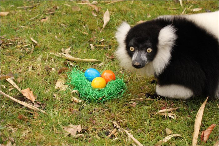 Zoo Duisburg: Tierisch was los in den Osterferien Zoo Duisburg: Tierisch was los in den Osterferien
