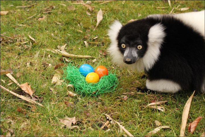 Zoo Duisburg bietet besondere Angebote an den Ostertagen Zoo Duisburg bietet besondere Angebote an den Ostertagen