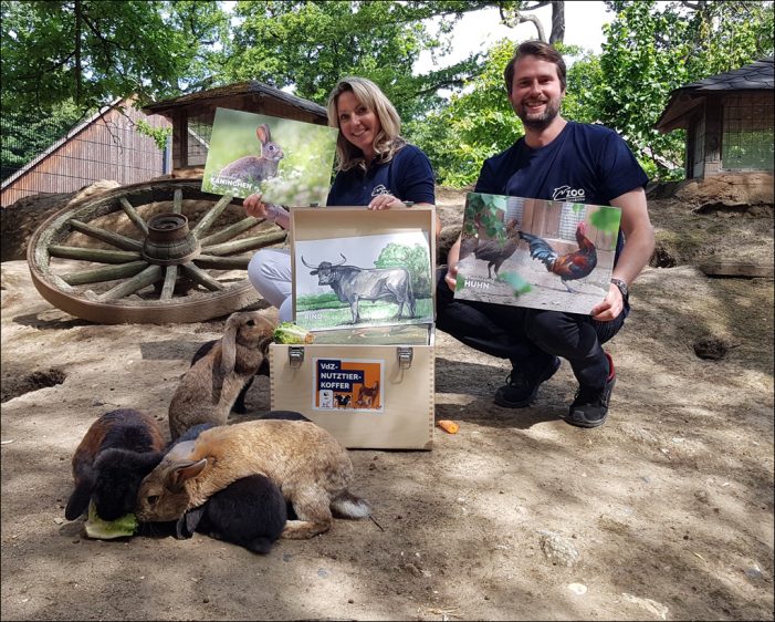 Zoo Duisburg: Zoos schützen seltene Nutztierrassen