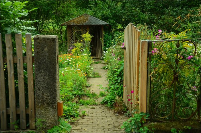 Merkmale von attraktiven Gärten und spannende Gartenprojekte