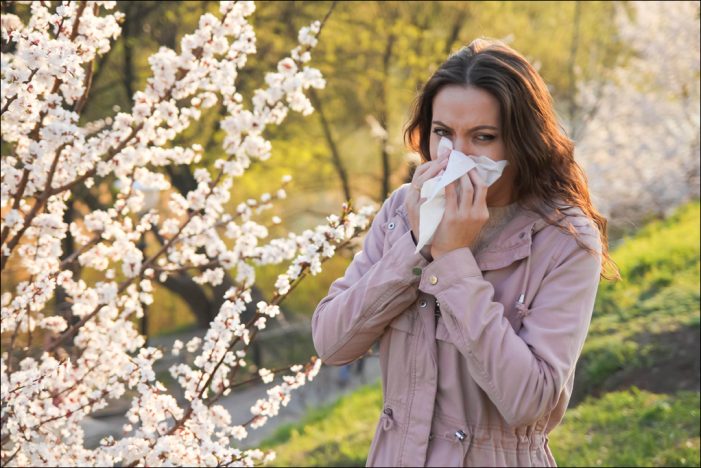Immer mehr Allergiker leiden ganzjährig: Was hilft im Alltag und im Notfall? Immer mehr Allergiker leiden ganzjährig: Was hilft im Alltag und im Notfall?