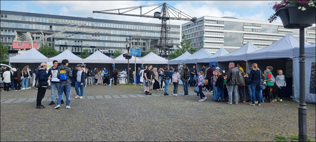 berufsfelderkennung-2