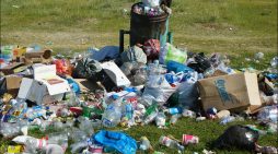 EU-Exportverbot für Abfall: Wie viele Abfälle landen dennoch illegal in Importländern?